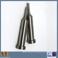 Tungsten Carbide Standard Punches for Stamping Die (MQ2147)